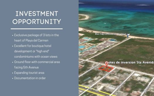 5th Ave Investment Lots