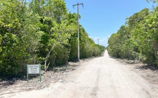 Investment Land for Sale